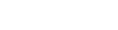 1DOT